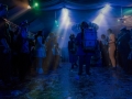 Maskenball 2013
